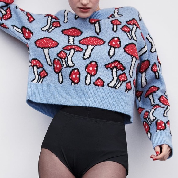 Zara Sweaters - 🆕 {Zara} Jacquard Knit Sweater - Mushrooms